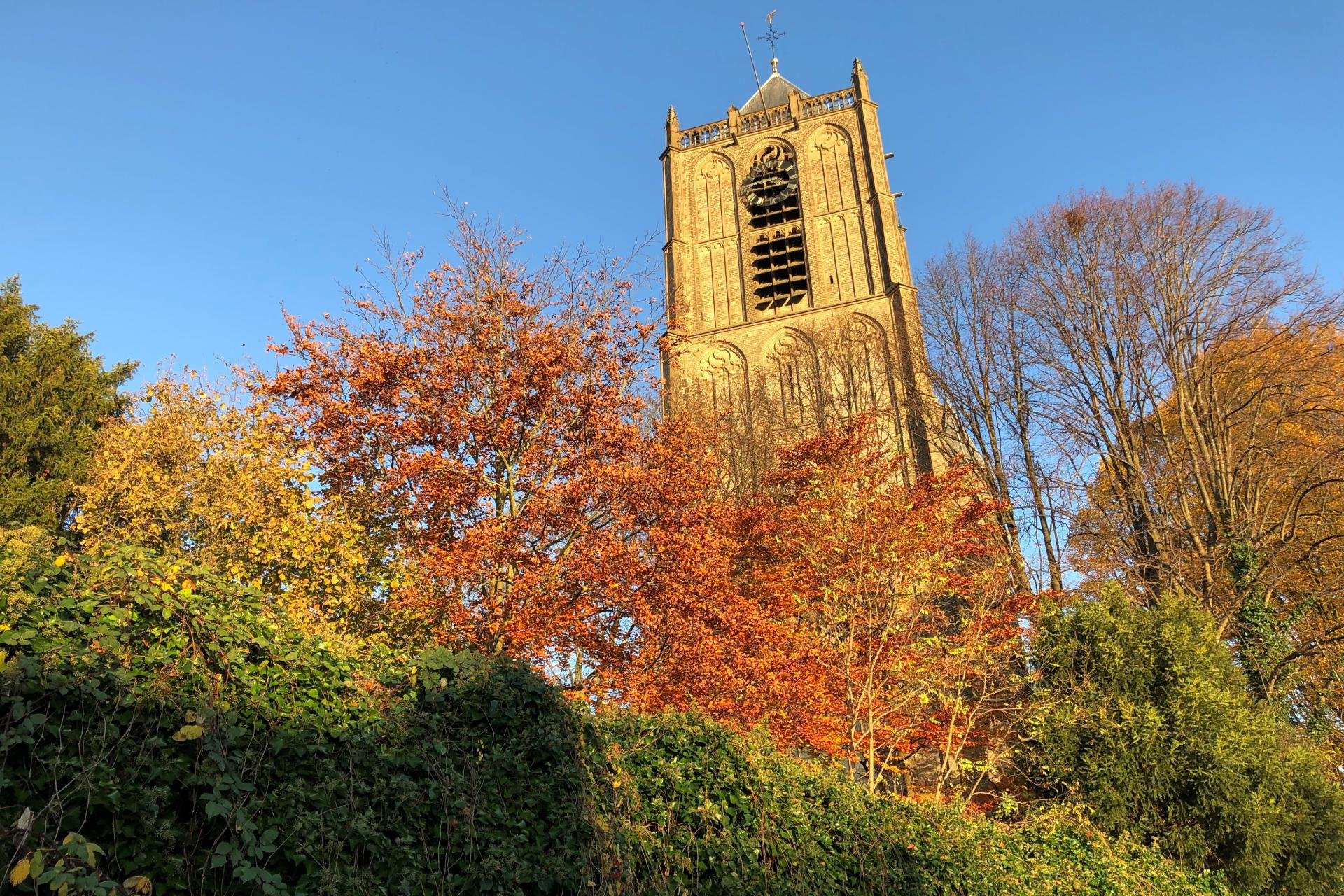 Blauwe lucht, boven in herfstkleuren en een kerktoren die er bovenuit steekt. 